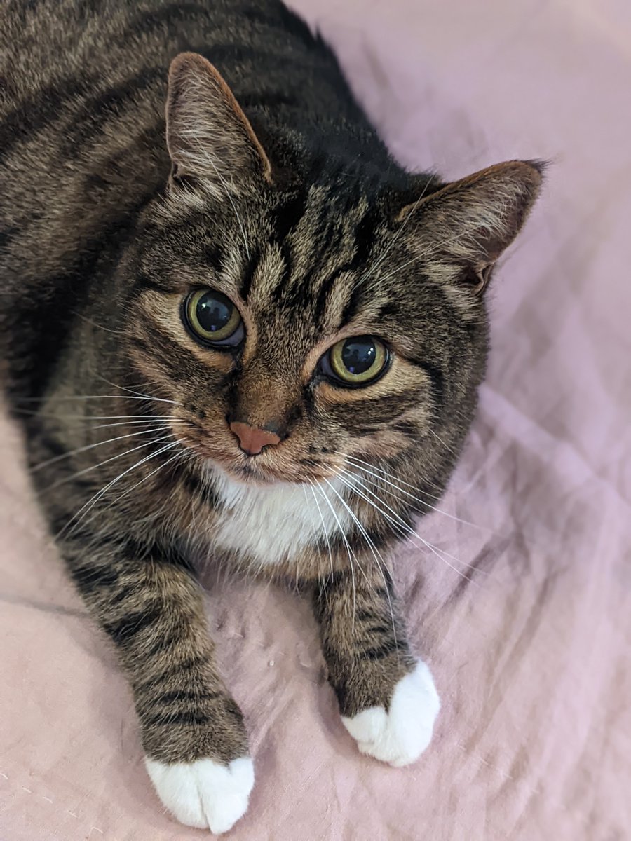 NW Editors Guild (Find us on other socials) tweet media