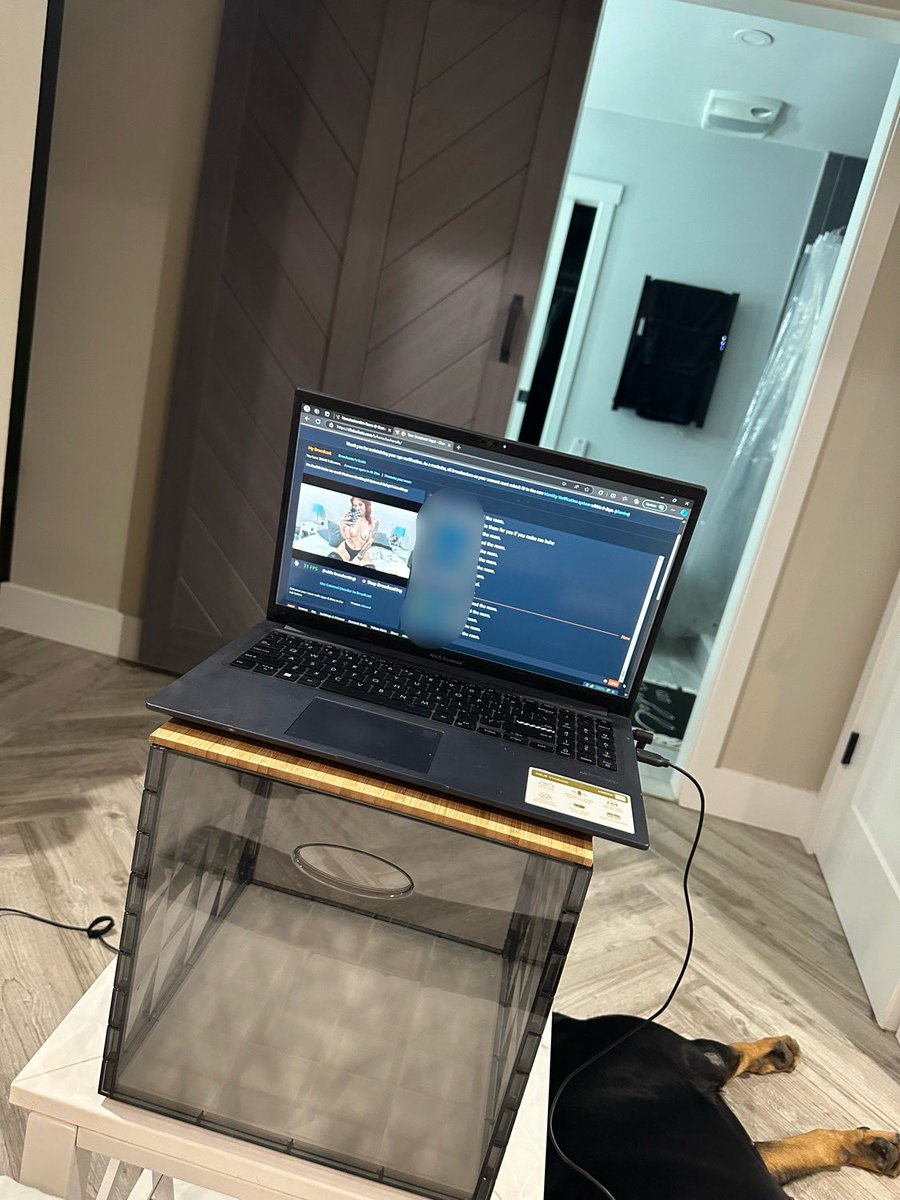 HeRocksSheRolls's tweet photo. Come by and welcome me back 🥰 https://t.co/okGs52blWZ