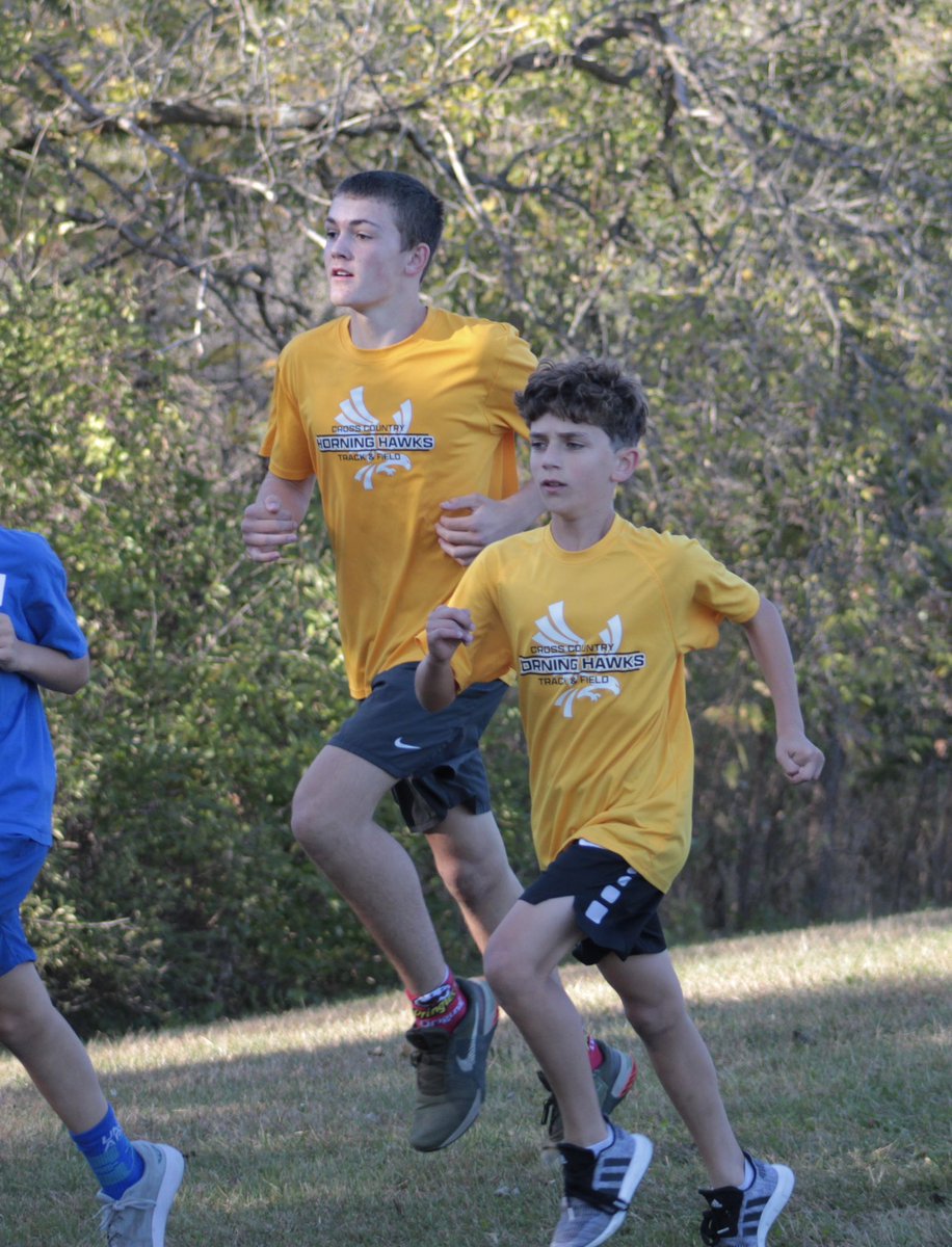 Horning Hawks CC and TF tweet media