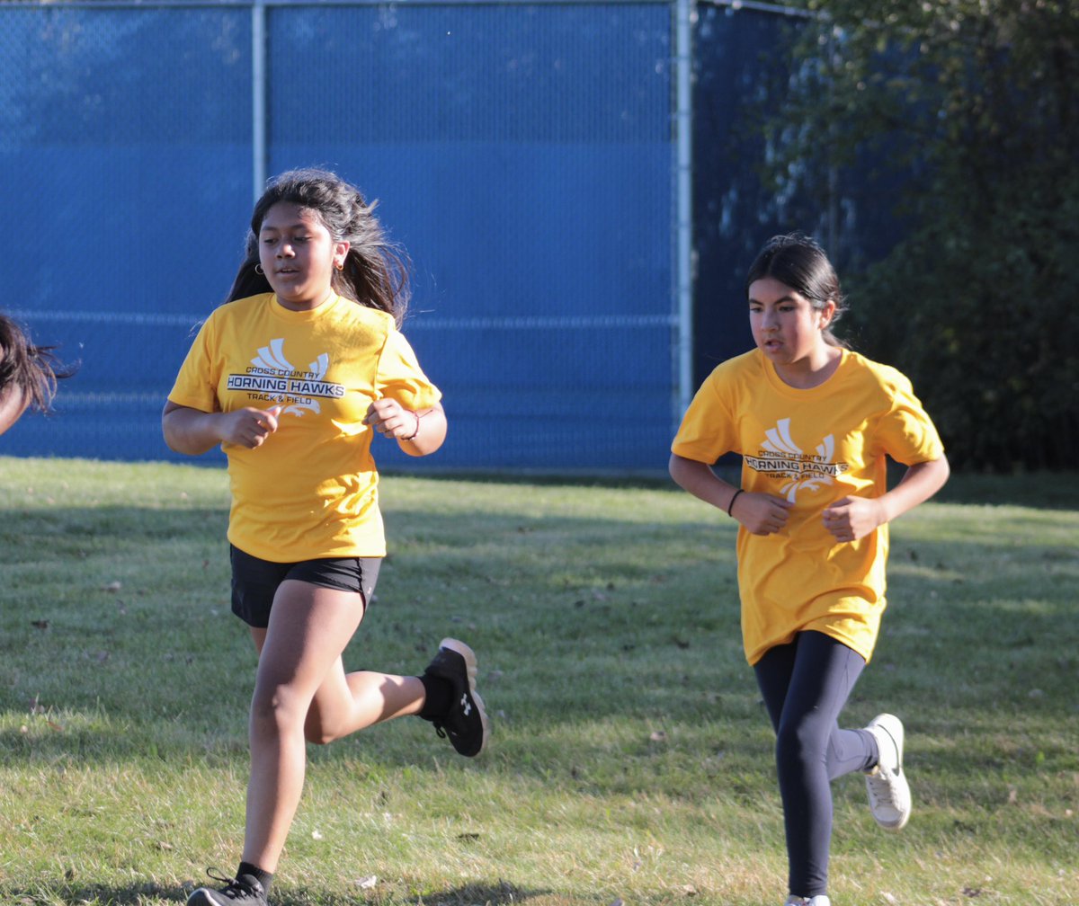 Horning Hawks CC and TF tweet media