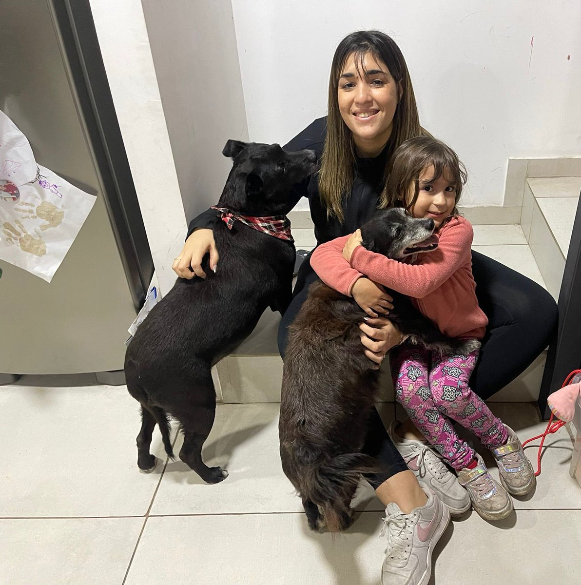 TADEO ADOPTADO!!! DE UNA MUERTE SEGURA ABANDONADO EN LA RUTA A UN HERMOSO HOGAR ❤❤❤
#ADOPTANOCOMPRES