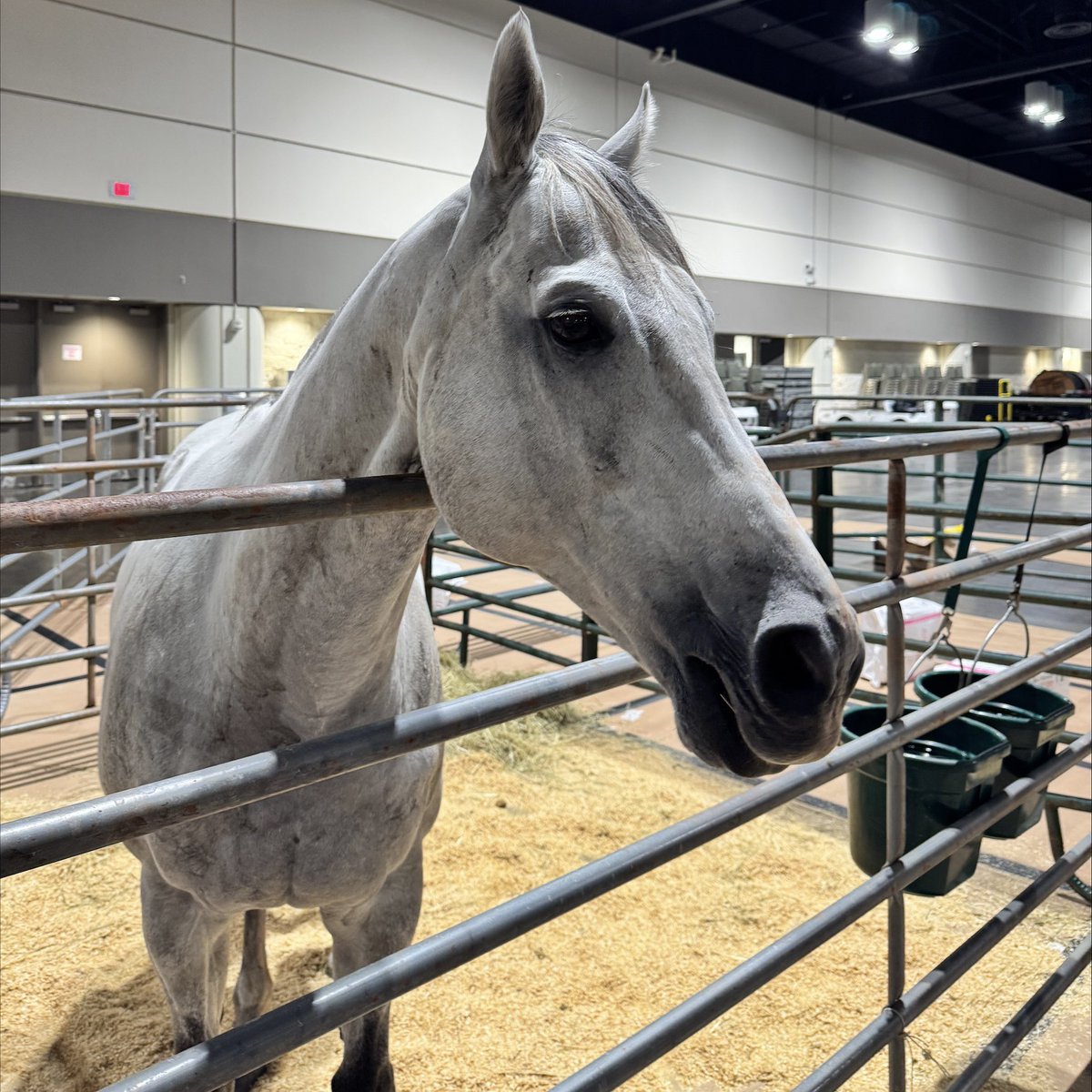 Orange County Sheriff's Office tweet media