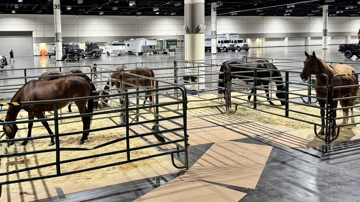 Our OCSO Mounted Patrol horses are safe indoors, riding out Hurricane Milton at the Orange County Convention Center (<a href="/OCCC/">Orange County Convention Center</a>). We hope you’re hunkering down too. 

Remember, now is NOT the time to venture outside. Conditions can deteriorate in a matter of seconds!

#HurricaneMilton