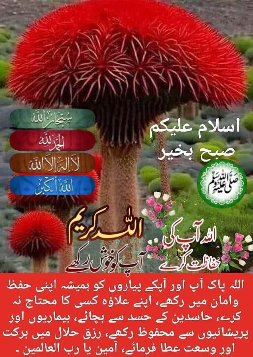 السَلاَمُ عَلَيكُم وَرَحْمَةُ اللهِ وَبَركاتہ
🌷صبح بخیر🌷
زندگی کی سختیوں کےدرمیان ہروہ لمحہ حسِین ہے
 جس میں محبت کا جواب محبت سے ملے
انسان کی زندگی کا بہترین حصہ اس کے محبت اور رحمدلی سے کئے گئے گمنام اعمال ھیں۔ جو  اس کا کوئی رشتہ نہیں ھوتا
#X_promo