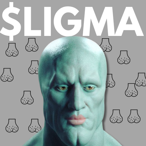 ligmaonsol69's tweet photo. id like to say some inspirational shi, ahem

$LIGMA balls jeeters

CA: AEXbqWmEHY4wXS1XeLfieBDh3ZEvVqkAdDzdaMAwpump

new 200k MC FLOOR
under 100M MC is free..... https://t.co/qQpEddFy9j