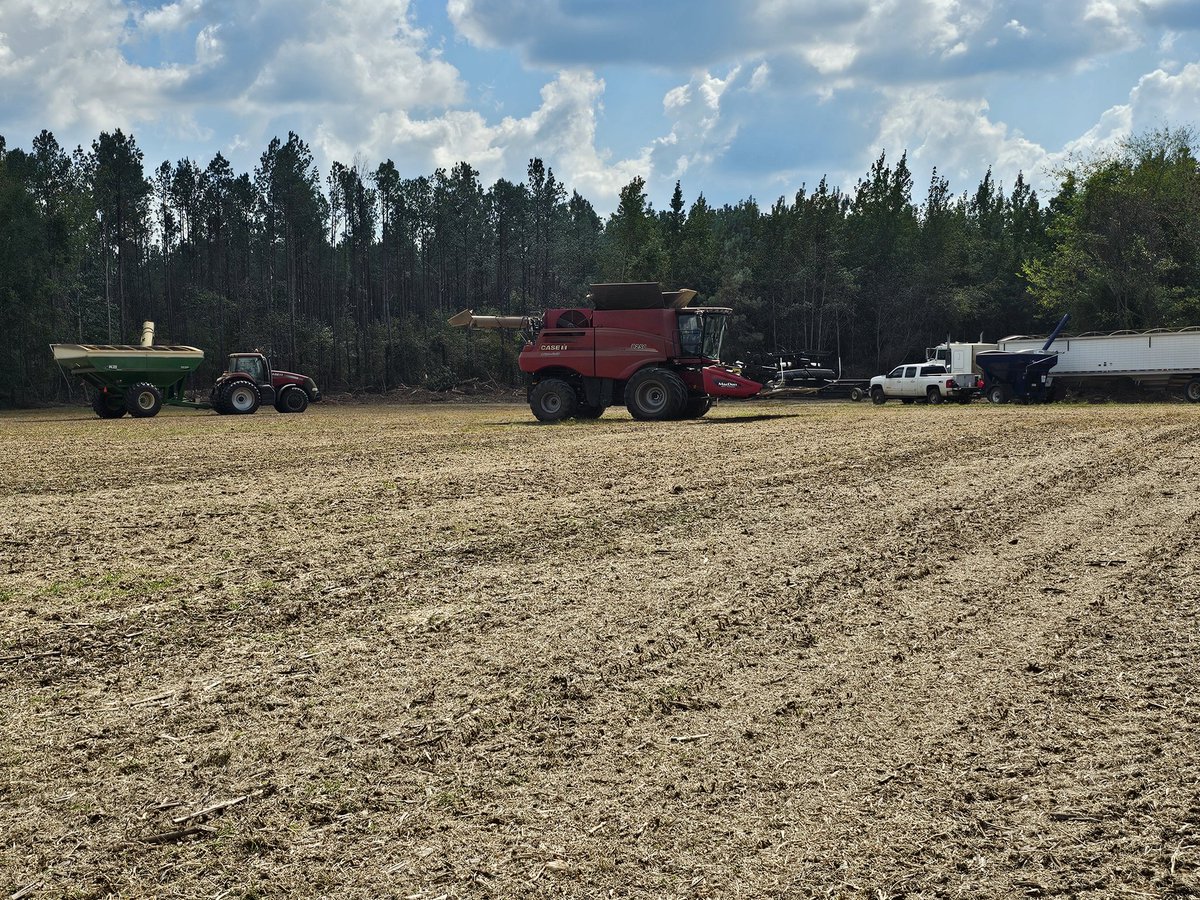 Blake Lanton tweet media