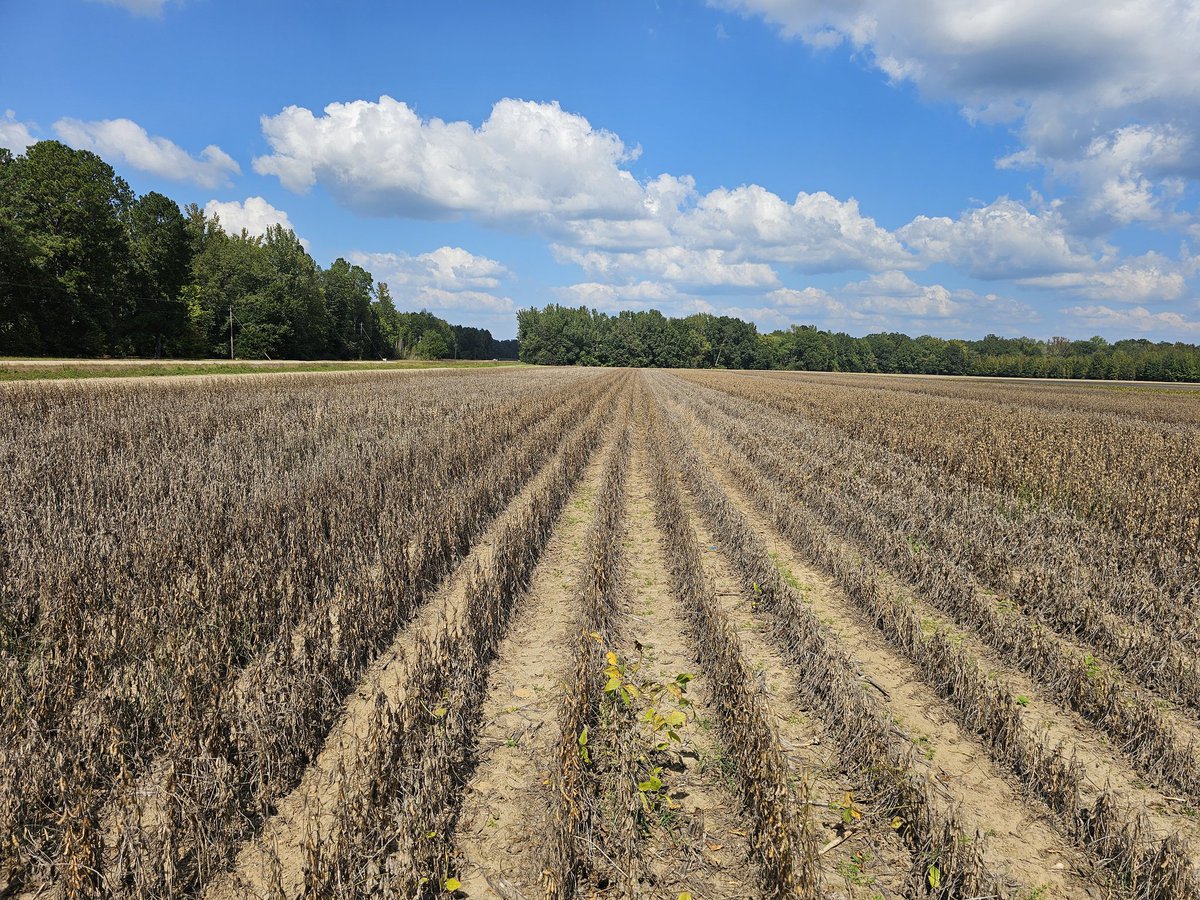 Blake Lanton tweet media