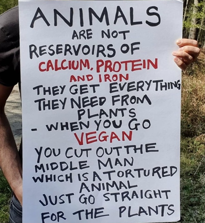 veganfuture's tweet photo. https://t.co/JgY8lx7EWl