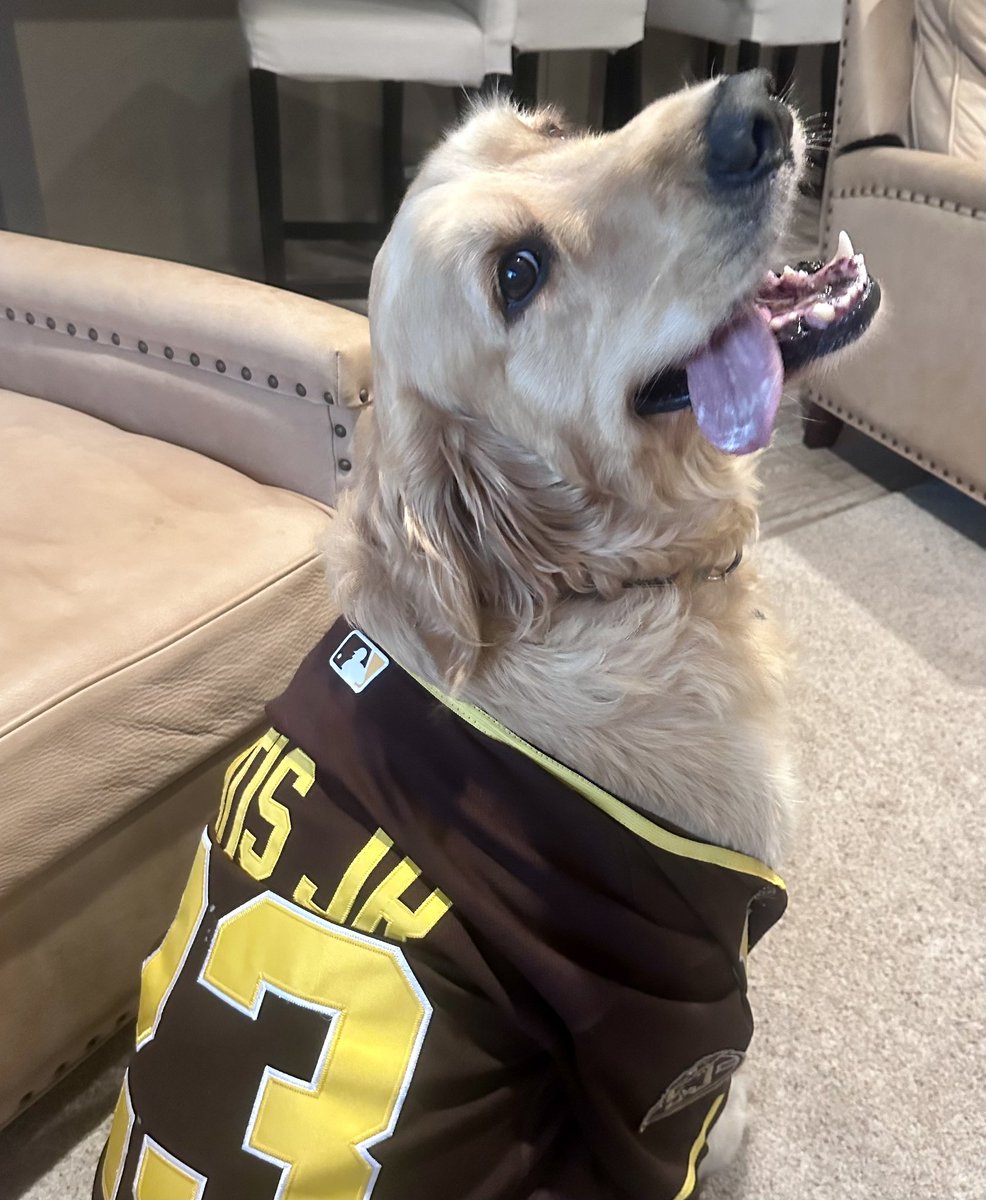 allyjanehat's tweet photo. #padrespets https://t.co/tstf4ZNc7A