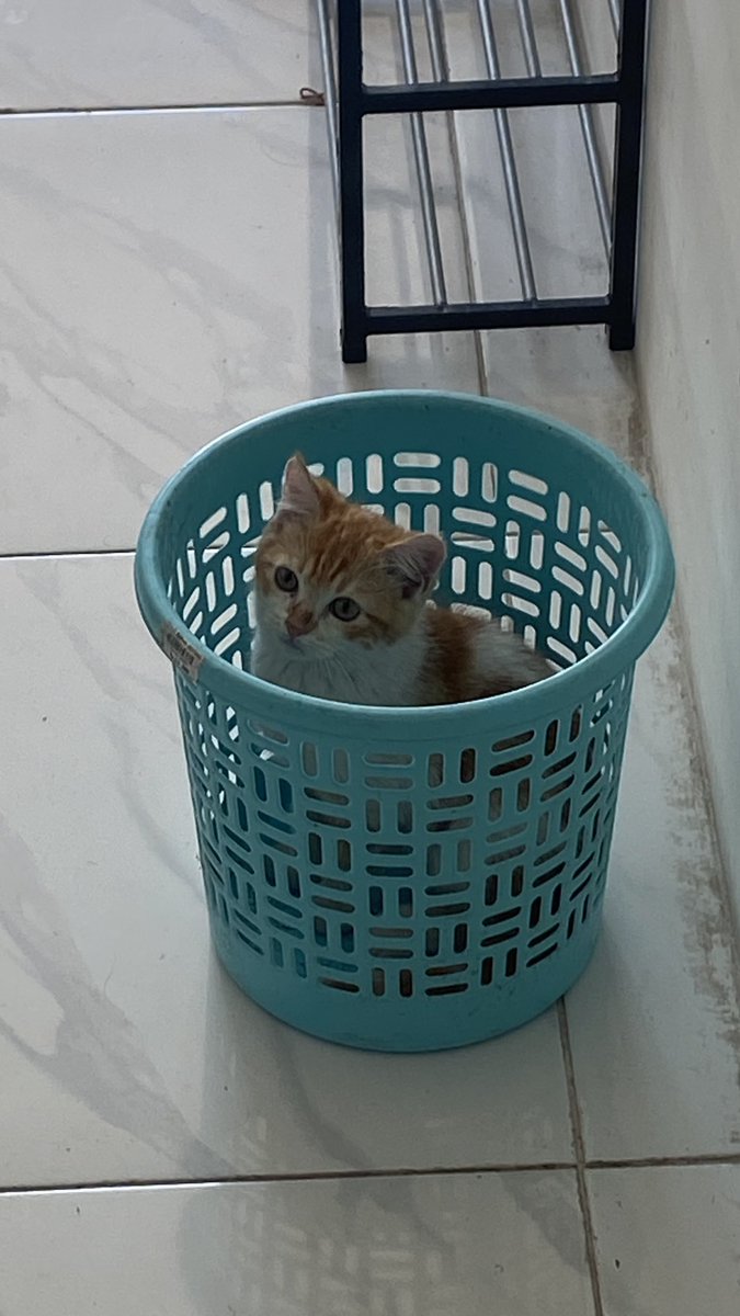 Raeshardyudhiss tweet media