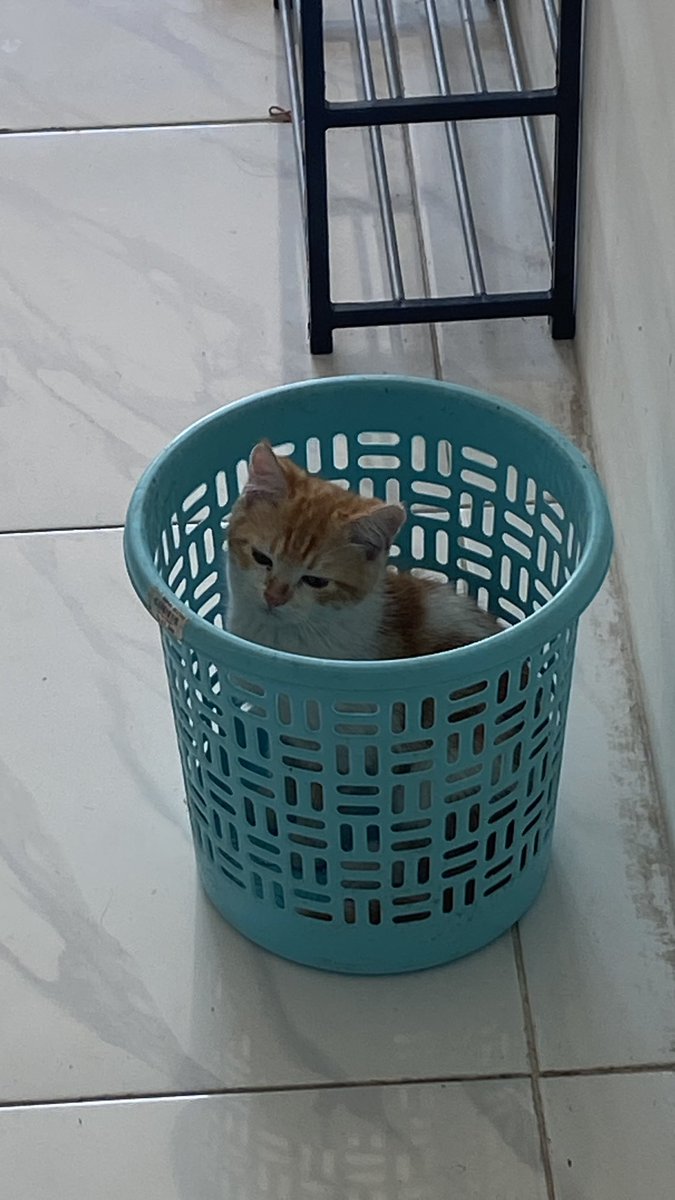 Raeshardyudhiss tweet media