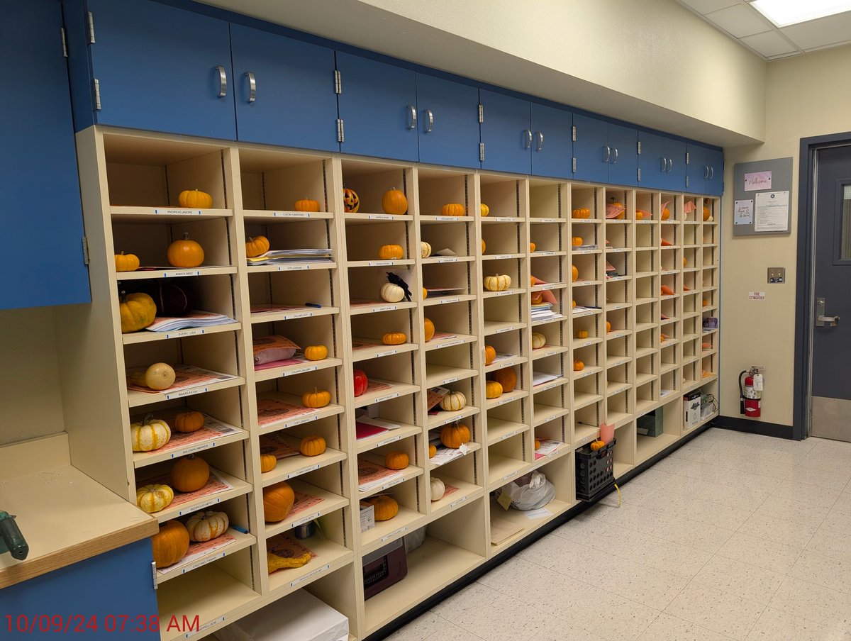 rosemontmiddle's tweet image. Thank you to our CJSF teachers &amp;amp; students for the perfect pumpkin presents this morning! 🎃 #cjsf #rosemontrocks #spooktacular