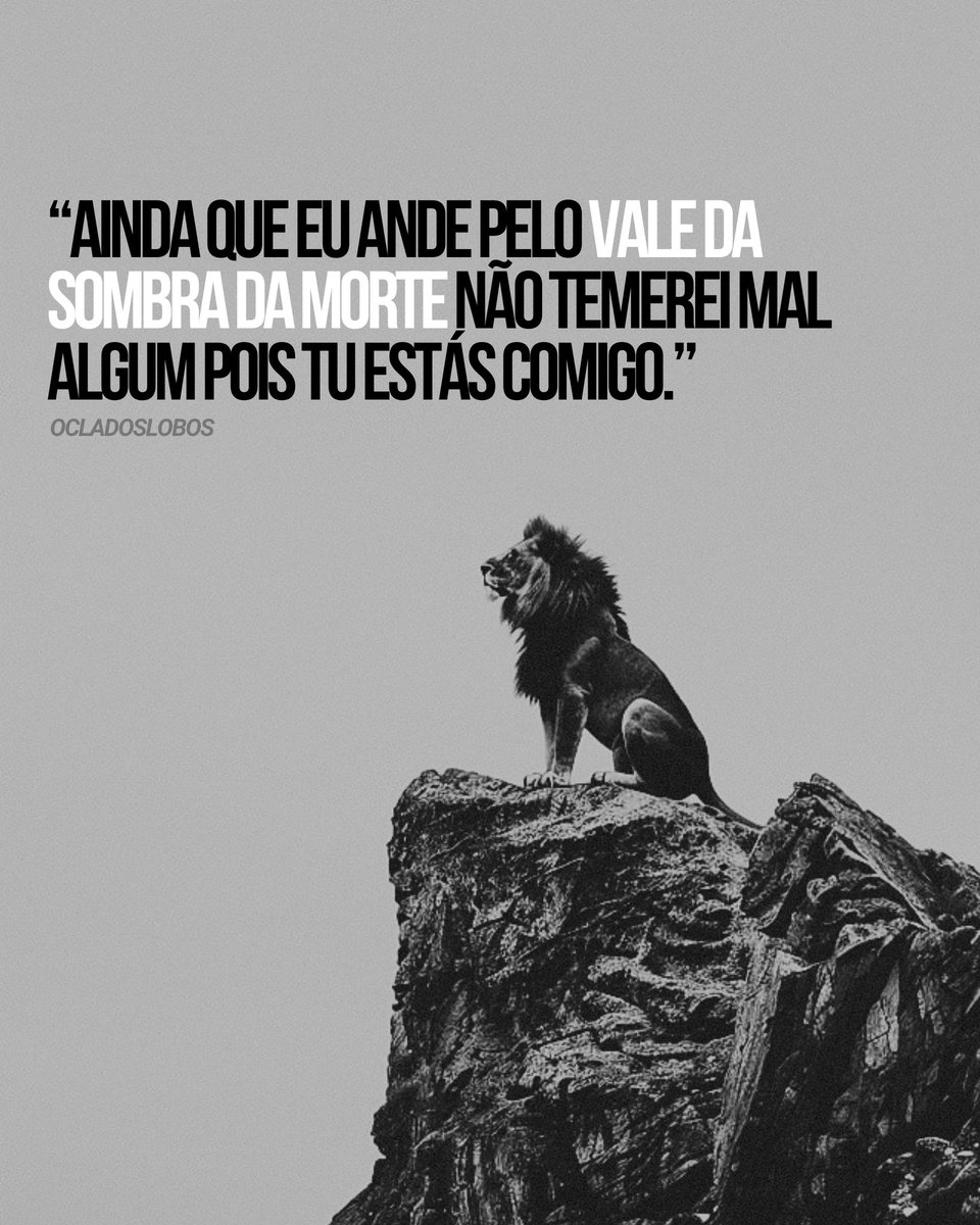 O Clã dos Lobos (@ocladoslobos) on Twitter photo 