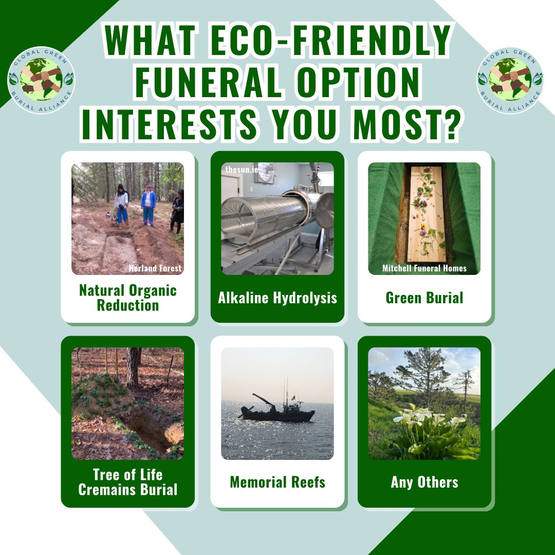 GGBAlliance's tweet photo. The world of eco-friendly funerals offers a diverse array of options to choose from. Which one interests you most and why? Let us know in the comments!
#greenburial #naturalburial #aquamation #reefball #naturalorganicreduction https://t.co/gAymQA7ROV