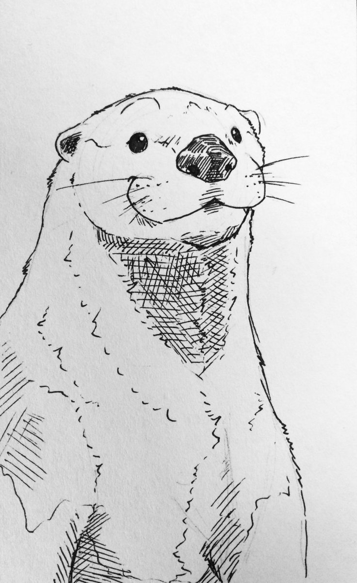 LupeSilverwind's tweet photo. Hallo!
I am much happy to see you. I hope hope you have a good night https://t.co/4VG4LvAzuU