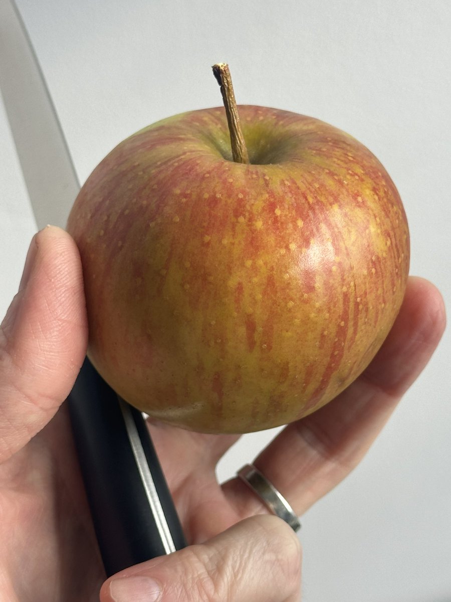 Gravenstein from <a href="/ScottFarmVT/">Scott Farm Orchard</a>. 

<a href="/foodcoop/">ParkSlopeFoodCoop</a>