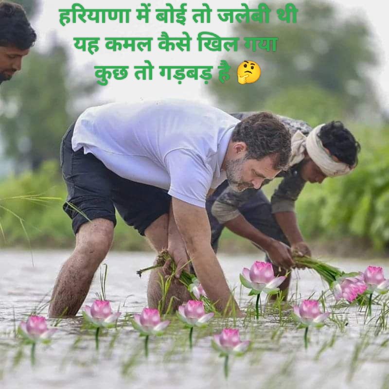 MTrigotra's tweet photo. अरे भाई हमने तो जलेबी की खेती की थी यह कमल कैसे खिल गया 🤔😀😀😂 https://t.co/Bp93WyzGZW