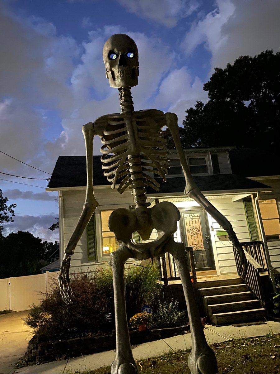 allowyourfuture's tweet photo. Halloween has come to our yard https://t.co/wYqYoCjVmI