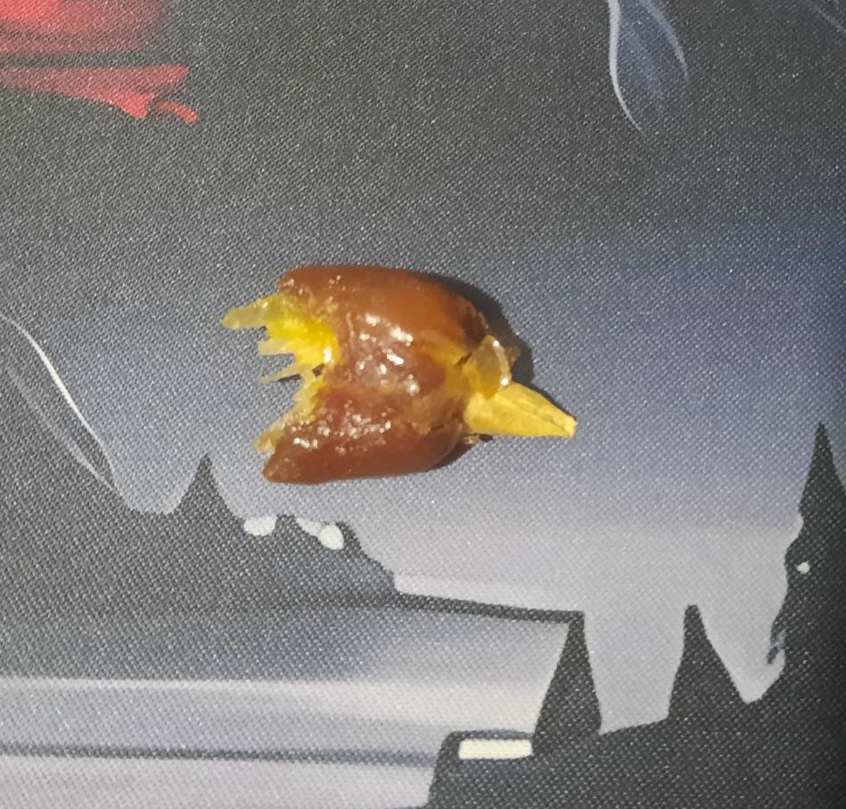 MortalPersou's tweet photo. Hola @lidlespana @lidlespanaAC,
es normal que comiendo unos dátiles 'SIN HUESO', casi me rompa un diente?
Pienso, creo y me atrevo a afirmar que en pleno 2024 estas cosas no deberían estar pasando. https://t.co/VeGcm3LtlT