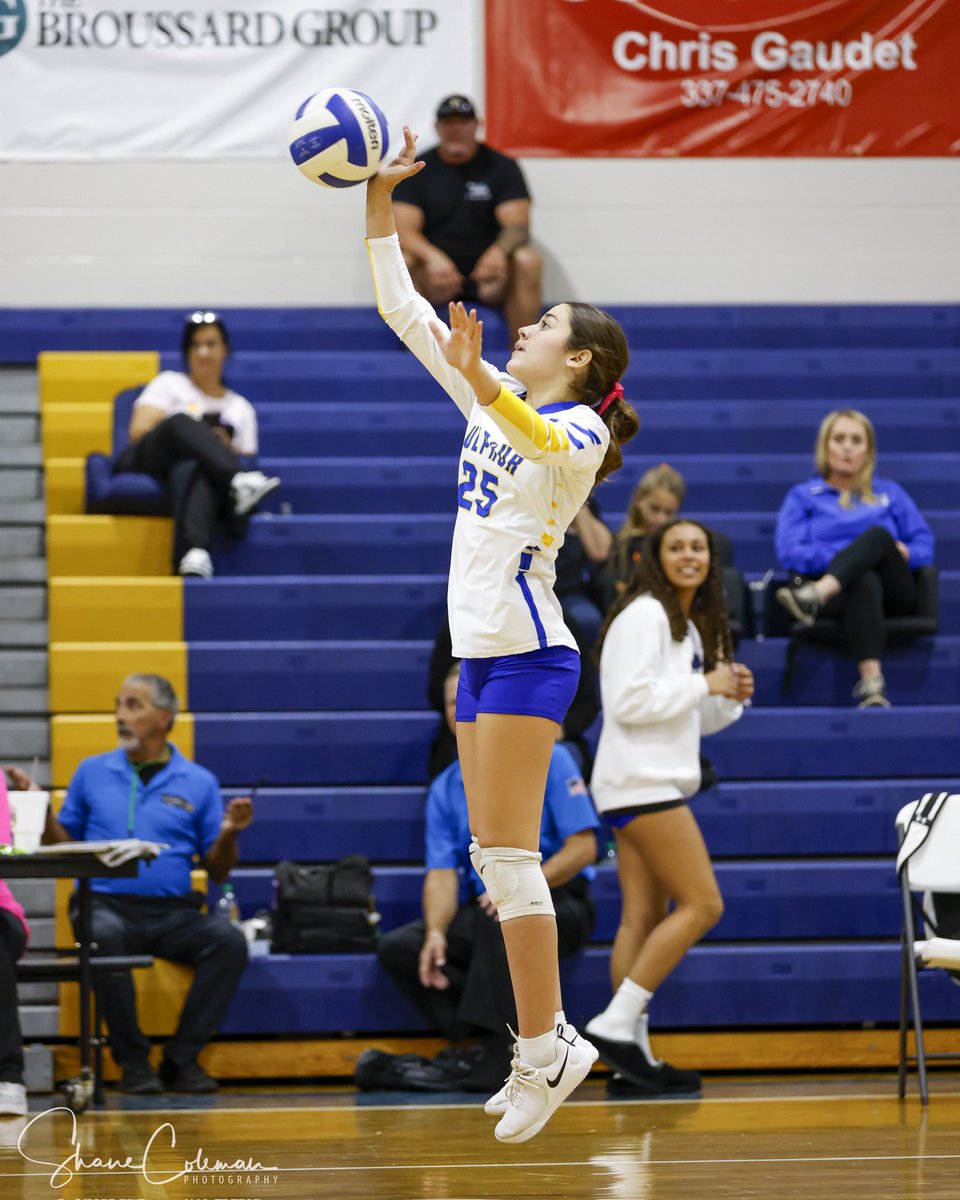 Shane Coleman Photography tweet media