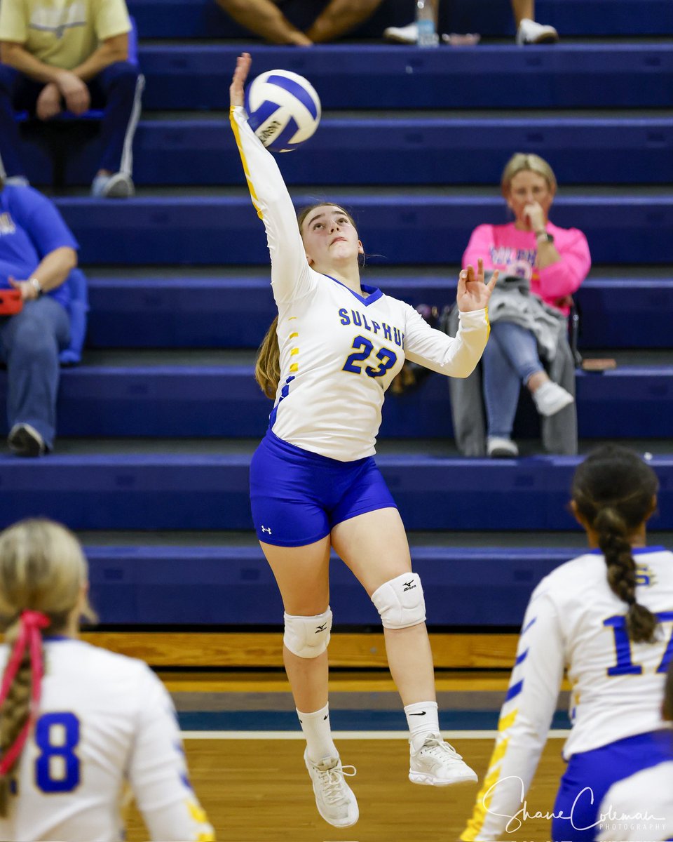 Shane Coleman Photography tweet media