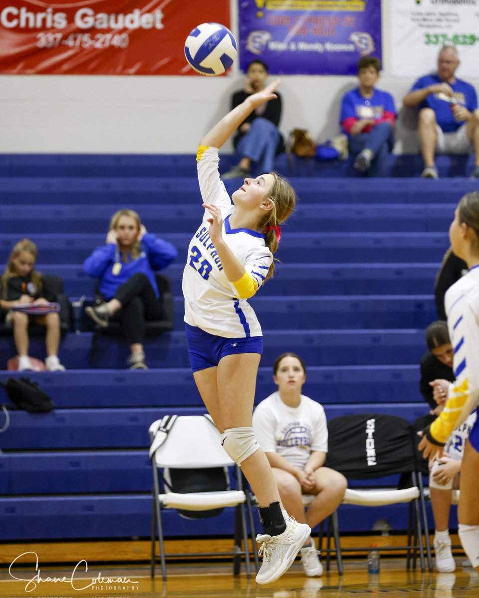 Shane Coleman Photography tweet media