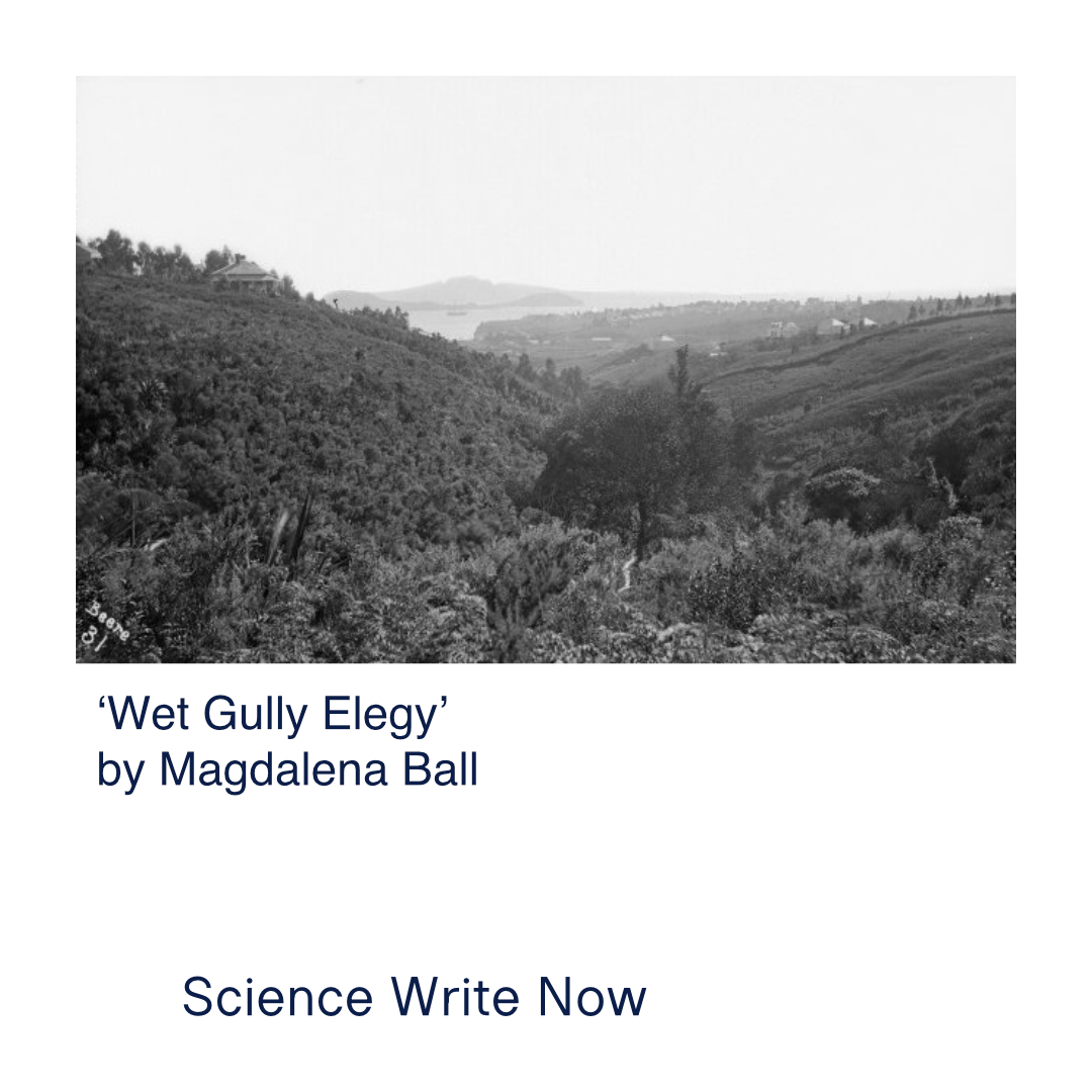 Science Write Now tweet media