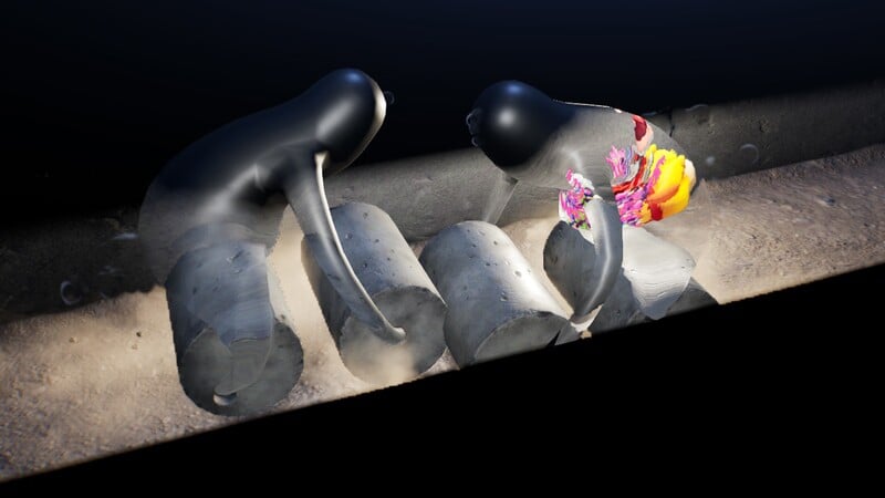 WaterWraithWHN's tweet image. It's water wraith Wednesday.

Have a good night!