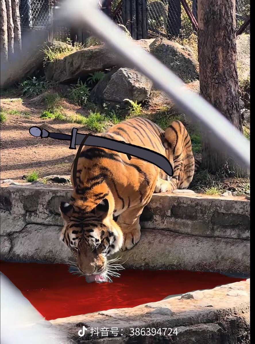 q1hwind's tweet photo. Kill that tiger 🐅 #BlackMythWukong https://t.co/ArKNgGvSEn