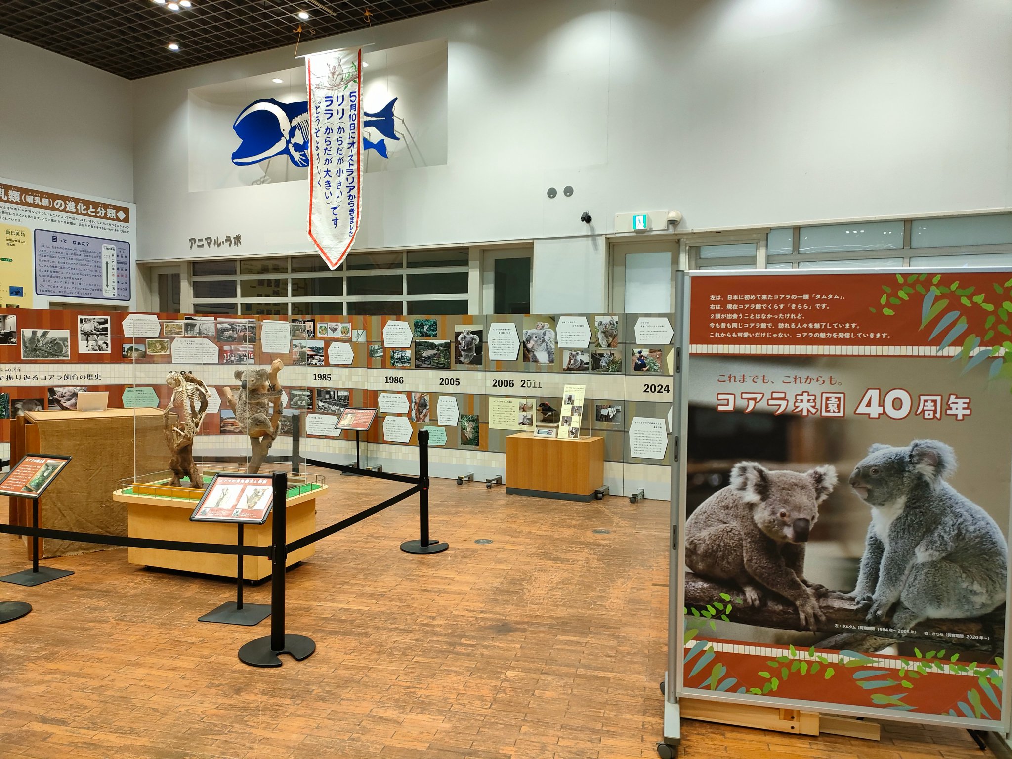 多摩動物公園 コアラ初来園記念・鋳物レリーフ(西大由 作)非売品