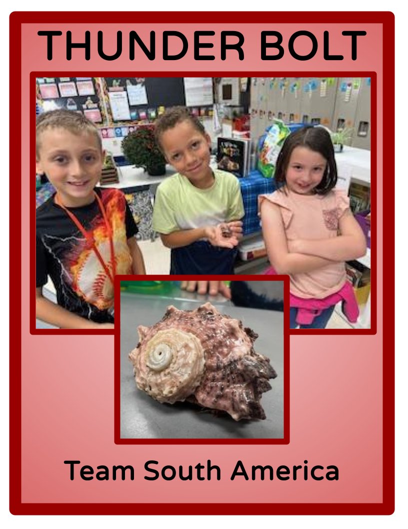 KiserClass's tweet image. Introducing: THUNDER BOLT
This little hermit crab is cautiously curious. He wants to explore, but is quick to retreat at any threat of danger. #MakeTimeForScience #ObservingChange #PBL #STEM #OnceAMiddie