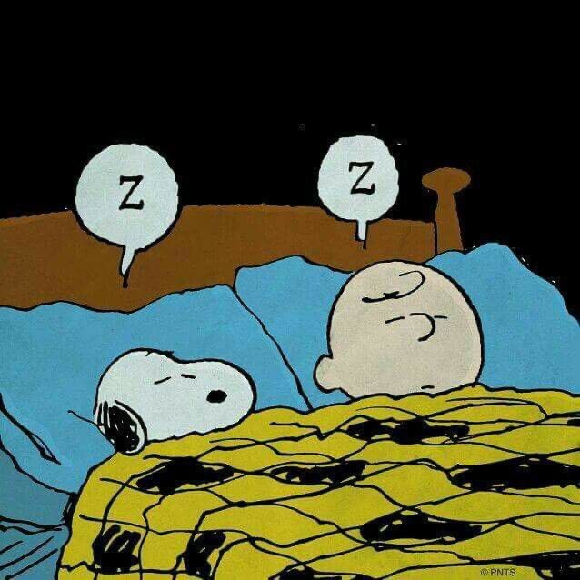 DailySnoopys's tweet photo. https://t.co/YeBf6gobUO