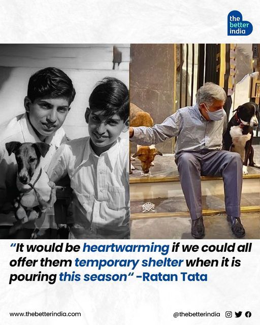 thebetterindia's tweet photo. #RIP #RatanTata 
Ratan Tata's love and compassion for stray animals were evident in the fact that Bombay House (the global headquarters of Tata Group in Mumbai) has dedicated kennels to offer shelter to stray dogs around the area. 

#RIP #legend #ratantatasir #indiaremembers https://t.co/ipS9QZnKZS