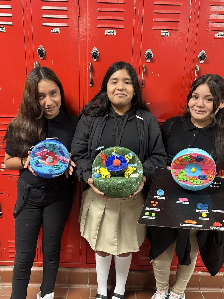 Shundasia Lewis-Brooks tweet media