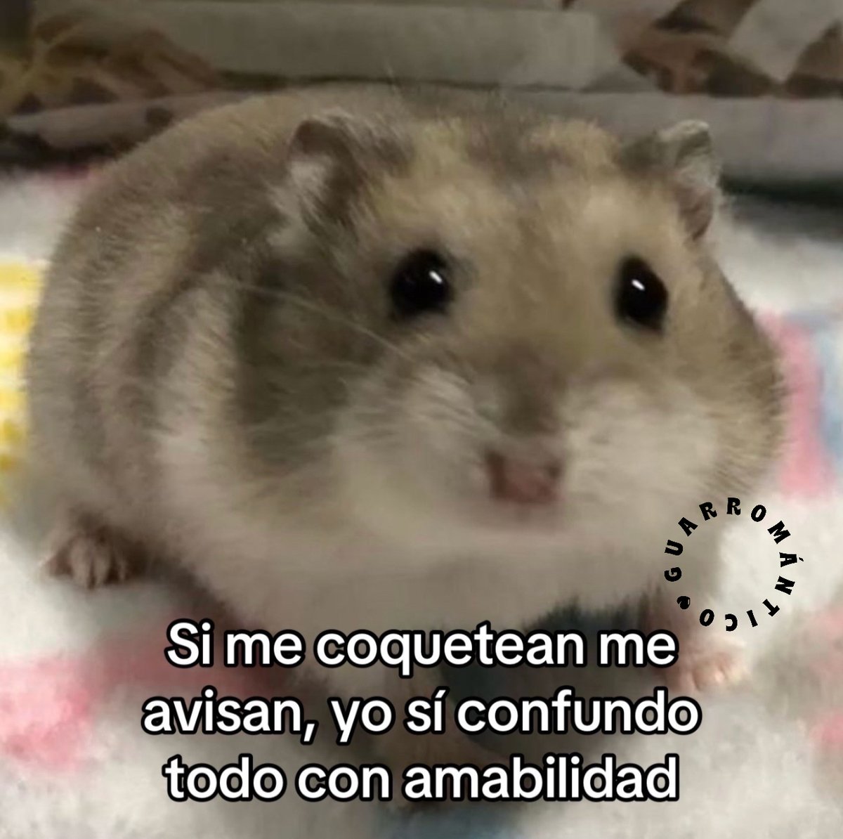 Guarromantico_ tweet picture