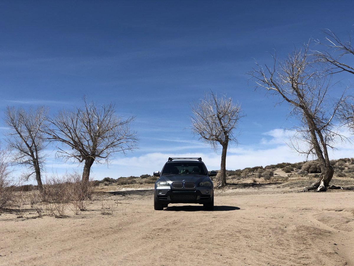 malleableethics's tweet photo. Learning how to work on my own cars over the last few years has truly changed my perspective of ’car’ people. I love my ladies that much more because of all the time and attention I’ve devoted to them.

#Bimmer https://t.co/ZTlZ371zEt