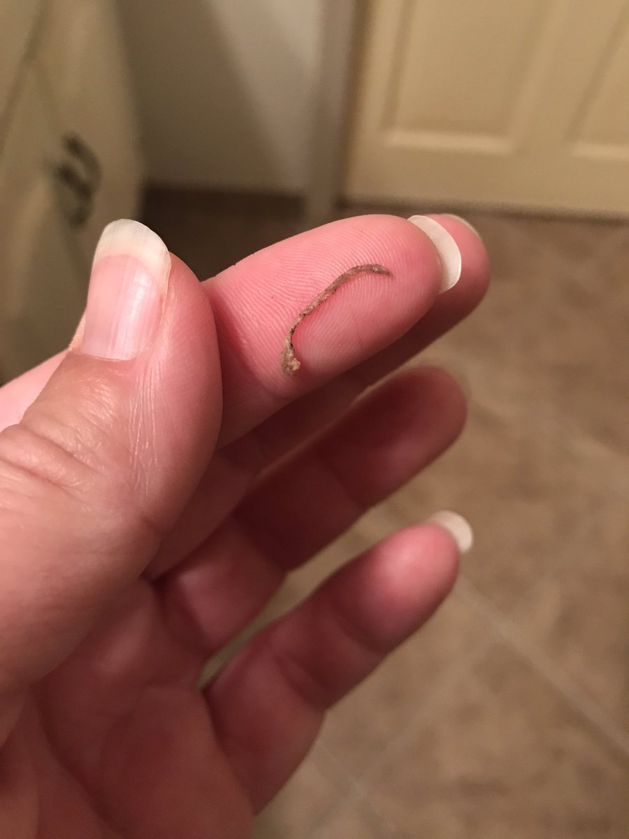 LeAnn Jent tweet media