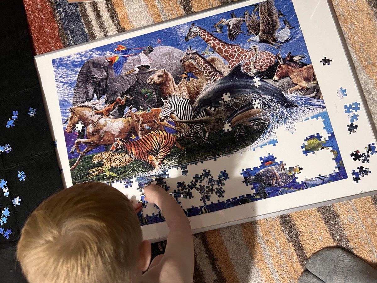 maybe danielle 💻🚛🇺🇸 tweet media