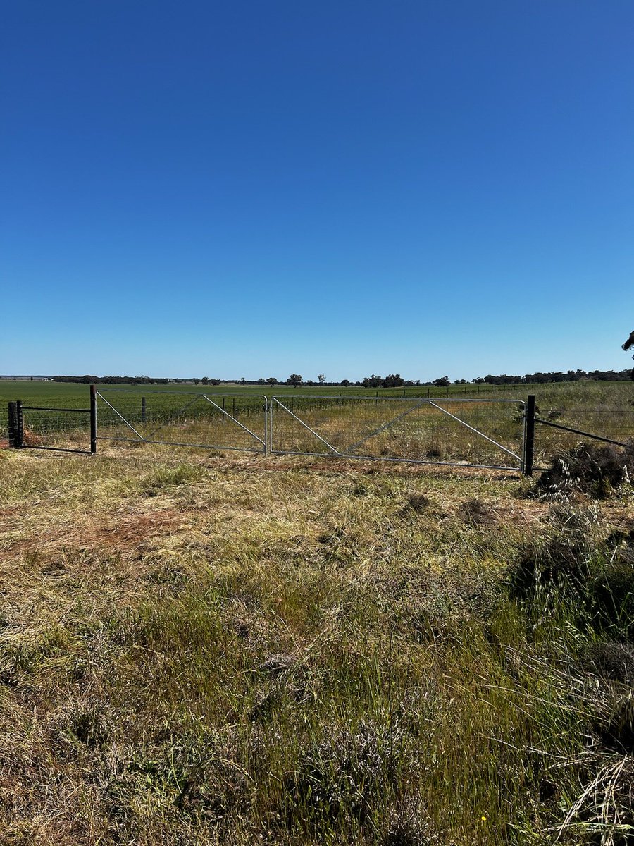 <a href="/shovel_chris/">shovel</a> proud of this one ,big post driver ,string line and a wonky spirit level 🤣🤣🤣🤣