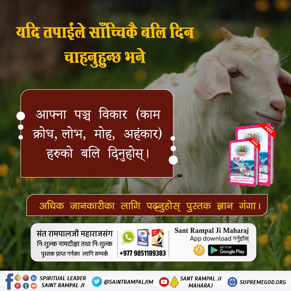 BhagatTb's tweet photo. #महापापी_जसले_गर्छ_जीव_हिंसा
 तपाईंले साँच्चिकै बलि दिन चाहनुहुन्छ भने आफ्ना पञ्च विकारहरु ( काम, क्रोध, लोभ, मोह, अहंकार )को बलि दिनुहोस्। अधिक जानकारीका लागि पढ्नुहोस् पुस्तक ज्ञान गंगा। https://t.co/yp7We1KPkB