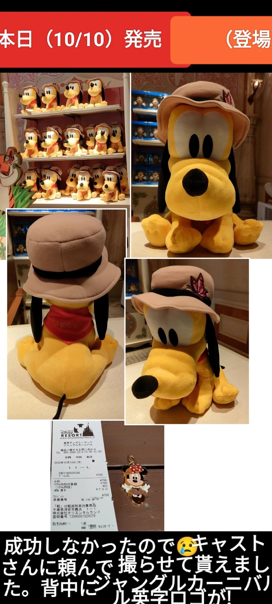 TDR ディズニー ぷらん on X: 