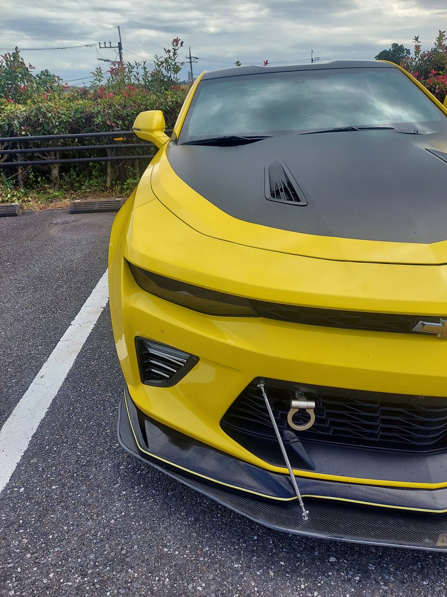 低カロ tweet media