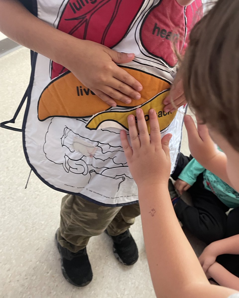 MsGoldbergEDU's tweet photo. We learned about our organs and how each one helps our bodies. https://t.co/BaBh54jso9