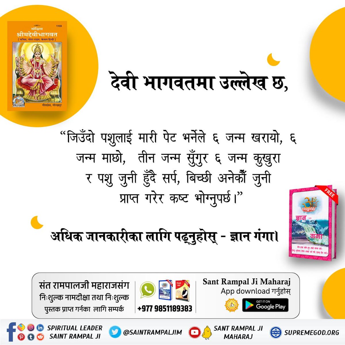 Roshan_karna's tweet photo. पशुबलि अन्धविश्वास हो। प्रमाण हेरौं, अन्धविश्वास त्यागौं।
#महापापी_जसले_गर्छ_जीव_हिंसा https://t.co/2Xm7rCn9Nq