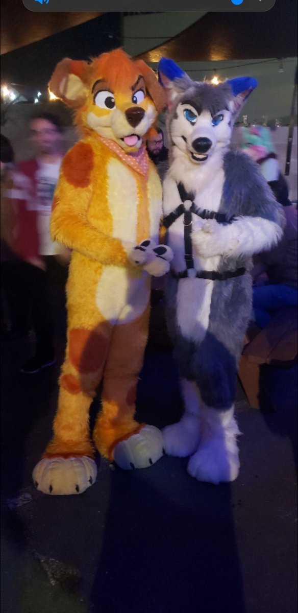 Another good pic from ROAR Sacramento.