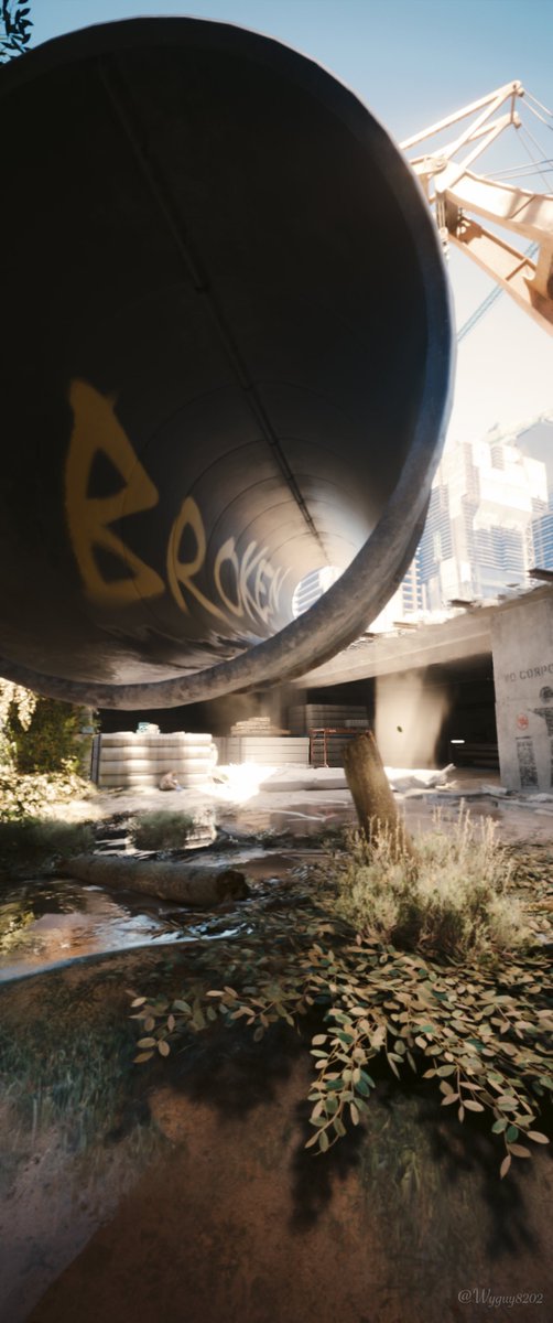 Wyguy8202 tweet media