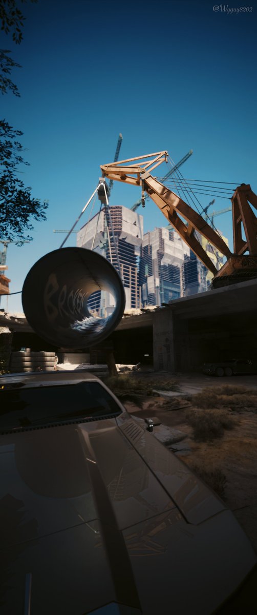 Wyguy8202 tweet media