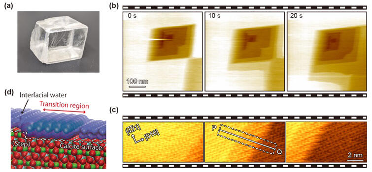 Science Japan (@sciencejapanjst) on Twitter photo #KanazawaUniversity(<a href="/nanolsi/">WPI-NanoLSI</a>) researchers developed a high-speed 3D scanning force microscope to visualize water structures at solid-liquid interfaces, advancing the study of dissolution processes. Key for multiple fields! #Nanotechnology
Check👉sj.jst.go.jp/news/202410/n1… #KanazawaUniversity(<a href="/nanolsi/">WPI-NanoLSI</a>) researchers developed a high-speed 3D scanning force microscope to visualize water structures at solid-liquid interfaces, advancing the study of dissolution processes. Key for multiple fields! #Nanotechnology
Check👉sj.jst.go.jp/news/202410/n1…
