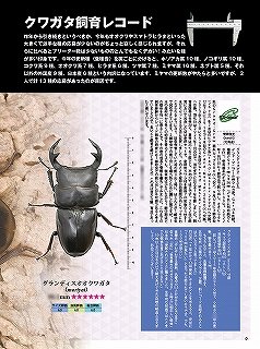 新着書籍】 ビークワ93号 『 第24回クワガタ飼育レコード コンテスト