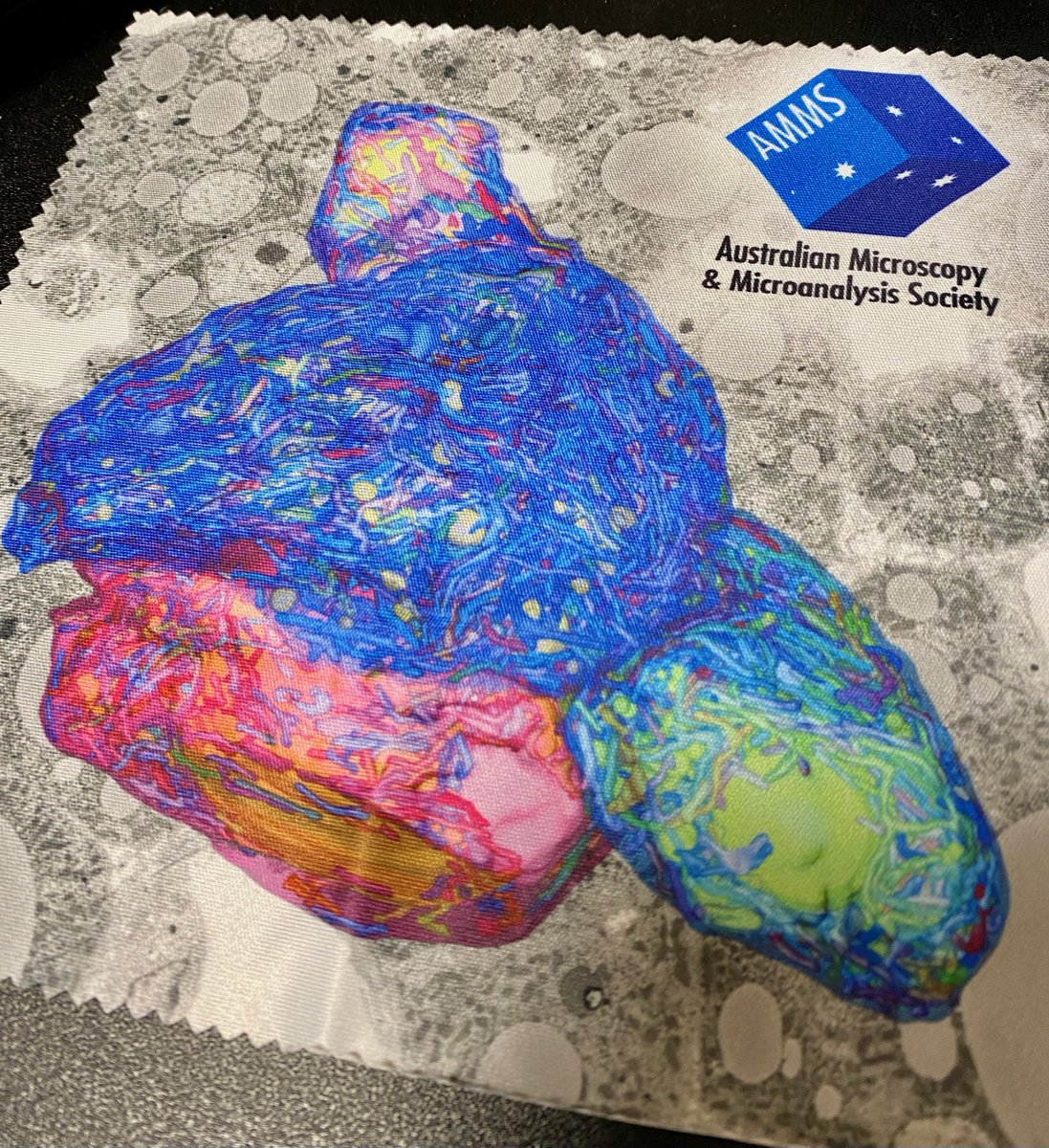 Louise Cole tweet media